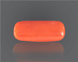 Natural Coral  7.25RTS-27415